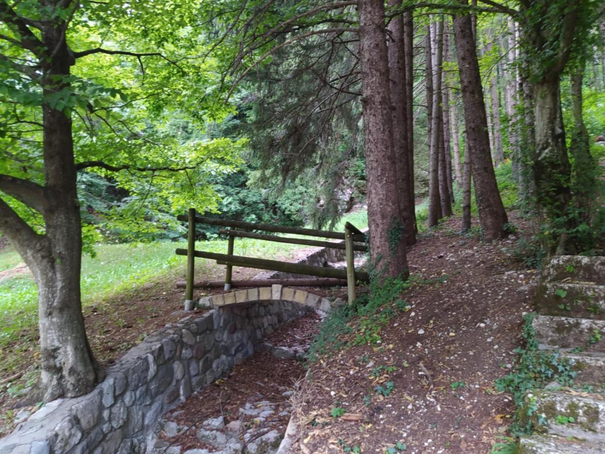 Arche Verzegnis - Unita Abitativa Ammobiliata Ad Uso Turistico Chiaicis Exterior photo